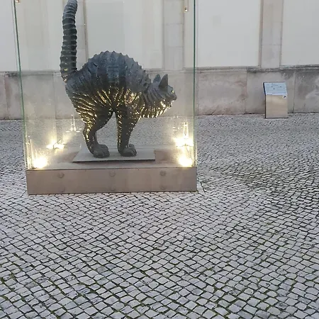 Casa Do Arelho Bed & Breakfast 3*