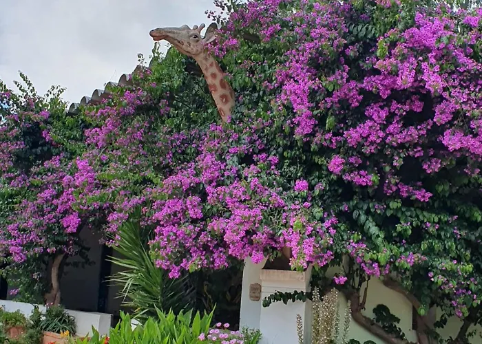 Casa Do Arelho 3* Óbidos